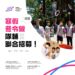 【🫧𝟐𝟎𝟐𝟔 年舞動陽光南區 寒假冬令營隊輔聯合招募 🫧】